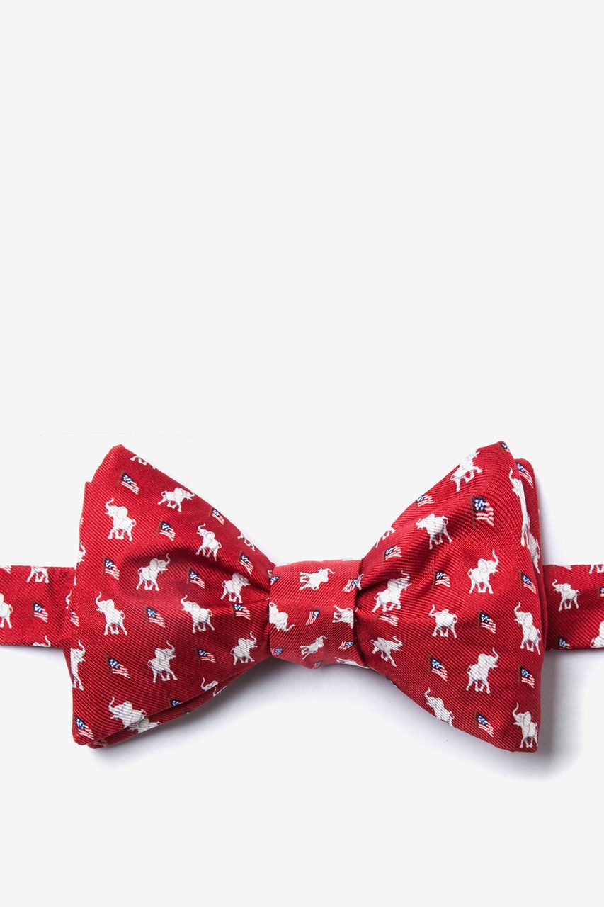 Bow Ties 101: An Introductory Guide