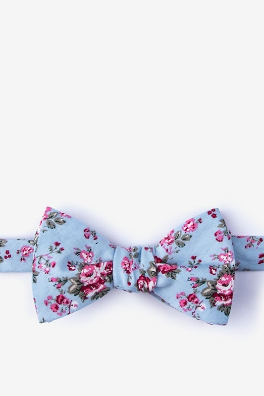 pink and blue bow tie