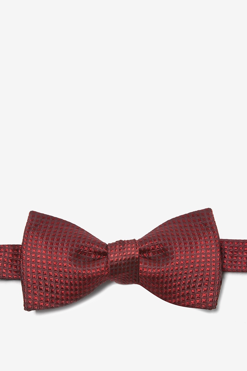 Revitalize Butterfly Insect Burgundy Silk Self Tie Bow Tie | Ties.com