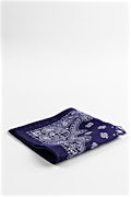 Paisley Pocket Square