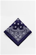 Paisley Pocket Square Navy Blue Pocket Square Photo (0)