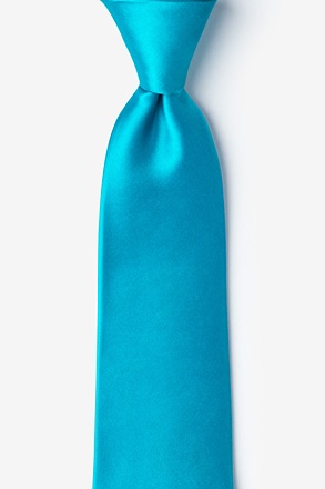 Silk Blue Aster Tie | Ties.com