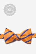 Balboa Orange Stripe Self Tie Bow Tie Photo (0)