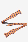 Balboa Orange Stripe Self Tie Bow Tie Photo (1)