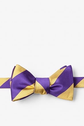 Purple & Gold Striped Extra Long Tie | Casual Neckties | Ties.com