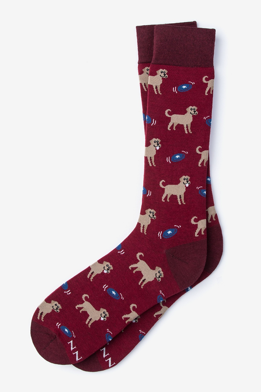 Red Golden Retriever Sock | Dog Sock | Ties.com