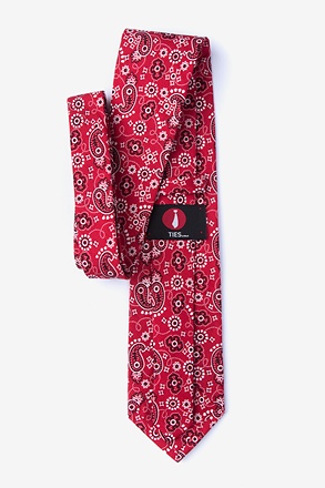 Men's Paisley Ties | Paisley Pattern Neckties for Men | Ties.com