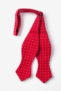 Red Dash Diamond Tip Bow Tie Photo (1)