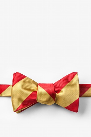 _Red & Gold Stripe Self-Tie Bow Tie_