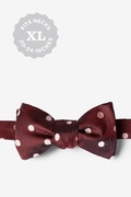 Polka Dot Red Self-Tie Bow Tie Photo (0)