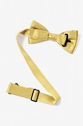 Yellow Ties for Boys | Yellow Neckties Collection | Ties.com