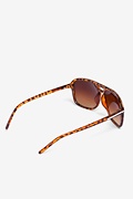 Tortoise Denver Double Bridge Aviator Sunglasses Photo (2)