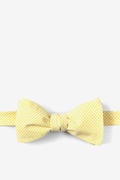 Yellow Chamberlain Check Self-Tie Bow Tie Photo (0)