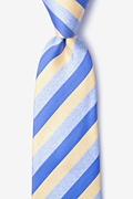 Deel Yellow Tie Photo (0)