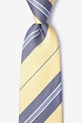 Inny Yellow Tie Photo (0)